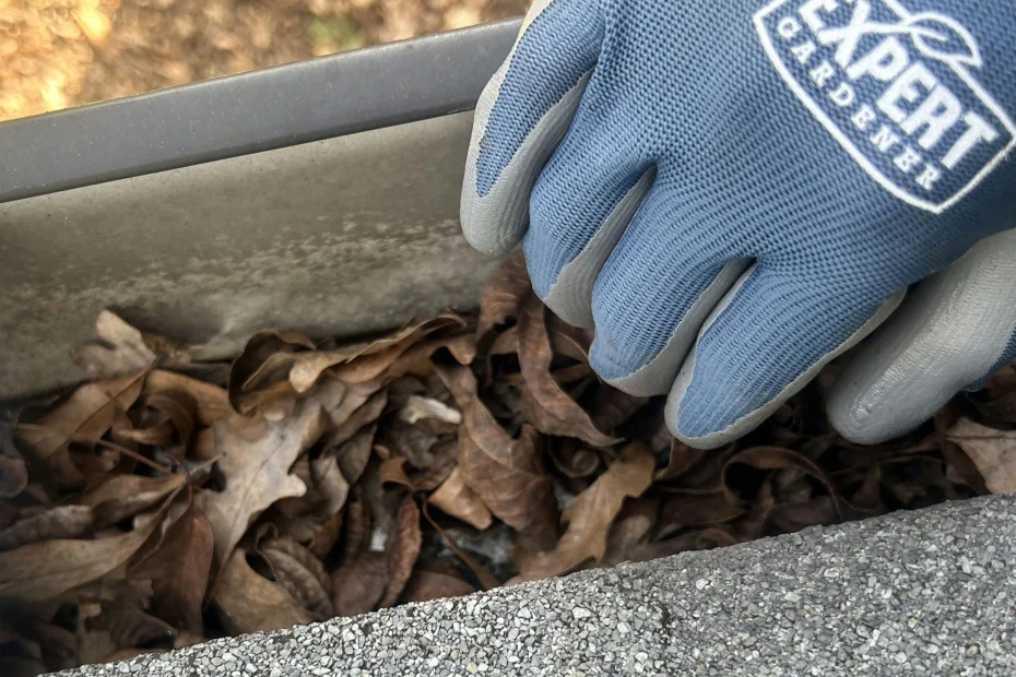 Gutter Cleaning Cheverly