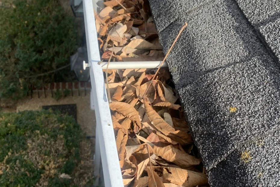 Gutter Cleaning Cheverly