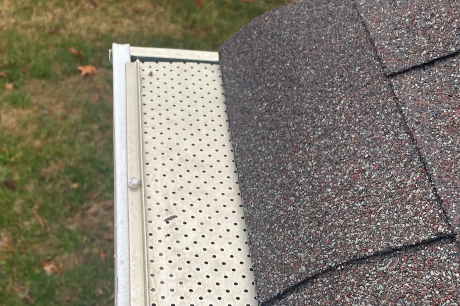 Gutter Cleaning Cheverly