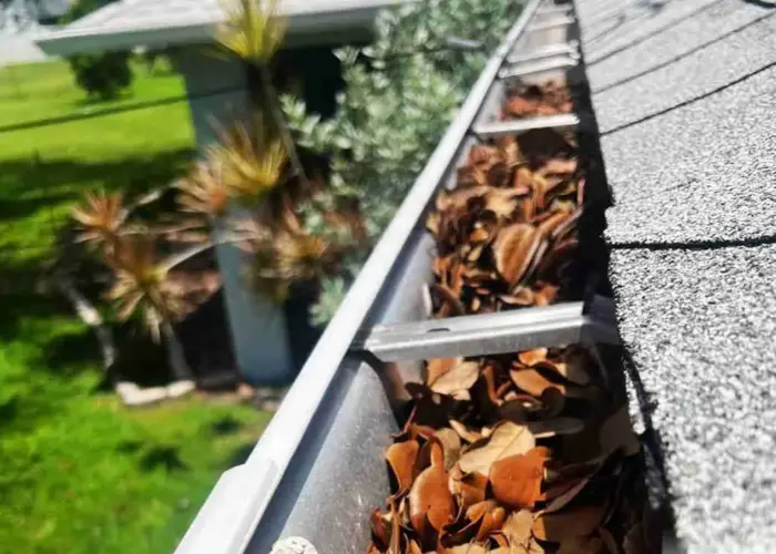 Gutter Cleaning Cheverly home page